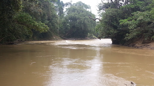Lidung Jelo