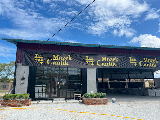 Mozek Cantik